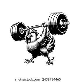 Levantador de pollos. Ilustración vectorial en la técnica de grabado de pollo deportivo levantando enorme barra. 