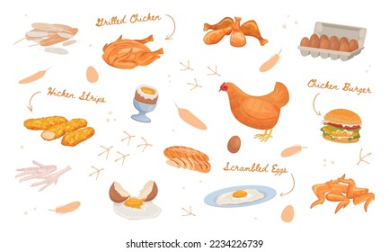 Productos de pollo Composición plana con un conjunto de rastros aislados, subtítulos de texto ornamentados con flechas, ilustraciones de vectores de alimentos de aves de corral