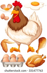 Chicken and chicken products illustration