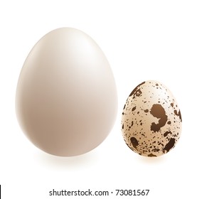 ovos de galinha e de codorniz