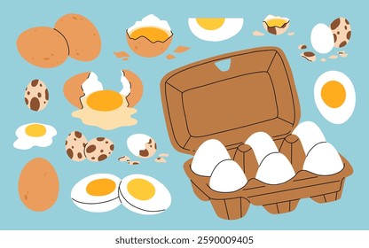 Chicken and quail eggs with broken and whole eggshell, yellow yolk. Raw, cooked, boiled, fried protein food in shell. Farm nutrition packed in box, container. Isolated flat vector illustrations