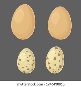 Chicken and quail eggs. Color vector flat illustration isolated on a gray background.