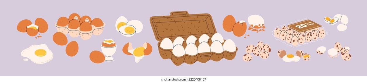 Chicken and quail eggs set. Raw, boiled, fried yellow yolks with broken and whole shell. Farm food packed in cardboard box, plastic container, in cup for breakfast. Isolated flat vector illustrations.