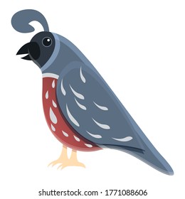 Chicken quail icon. Cartoon of chicken quail vector icon for web design isolated on white background