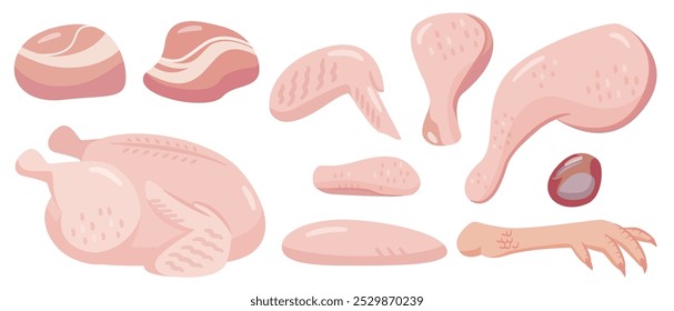 Chicken raw meat simple vector illustration set