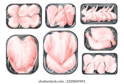 Chicken raw parts in plastic trays set vector illustration. Cartoon isolated frozen or fresh chilled chicken breasts, wings and legs, whole carcass of poultry in supermarket polystyrene packages