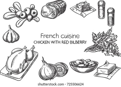 Pollo Con Berry Roja.Vector conceptual creativo. Esbozar ilustración de la receta de comida francesa, grabado, tinta, arte de línea, vector.