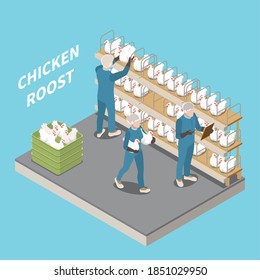 Chicken Roost In Poultry Farm Blue Background With Staff Inspecting And Seating Laying Hens Isometric Vector Illustration