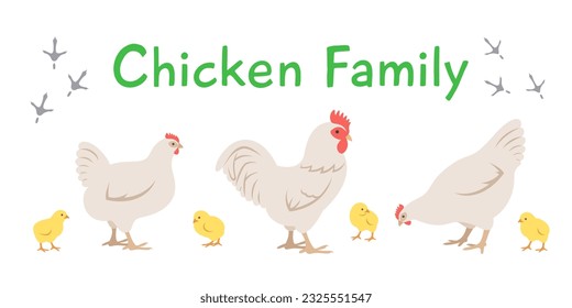 Chicken, rooster and chicks in different poses. Flat vector cartoon illustration. Isolated on white. Domestic farm livestock birds family, poultry, male female with offspring. Full length, side view