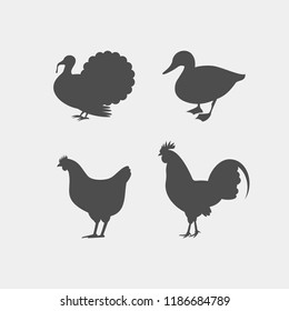 Chicken, rooster, duck, turkey vector silhouettes. Farm animals silhouettes
