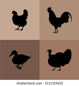Chicken, rooster, duck, turkey vector silhouettes. Farm animals silhouettes