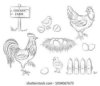 Chicken, Rooster, chicken, egg, nest, pointer, fence. Farm black contours. Isolated elements of the artwork. Vector EPS 10



