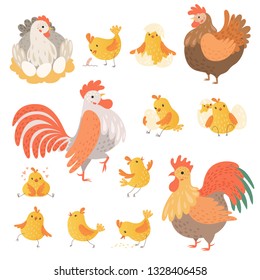 Chicken and rooster. Funny domestic farm animals birds eggs pollo vector cartoon characters