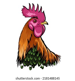Chicken, rooster head design, illustration vector