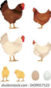 Chicken rooster hen chick and egg illustration