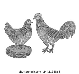  Chicken rooster, hen and egg on the straw, vintage engraving drawing stye illustration