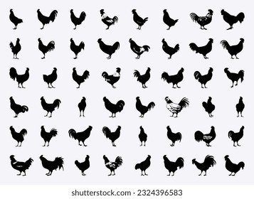 chicken rooster hen silhouette set