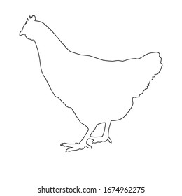 Chicken, rooster made from simple line, web silhouette isolated on white background. Chicken logo and symbol. Image for the dairy industry, agriculture.
