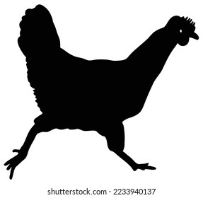 Chicken running silhouette. hen element illustration in simple flat style isolated on white background. cock Vector symbol design from farm collection. hen web elements 