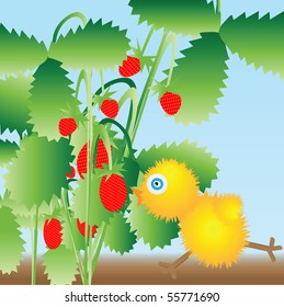 The chicken runs to berries. Vector illustration.