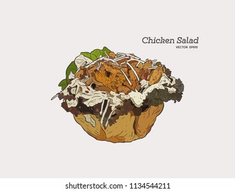 chicken salad Salad in a Tortilla Bowl with creamy garlic dressing
, hand draw sketch vector.