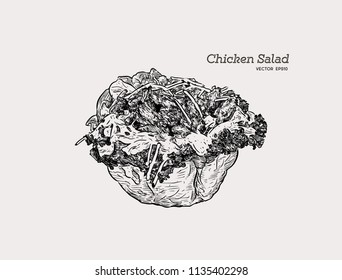 chicken salad Salad in a Tortilla Bowl with creamy garlic dressing
, hand draw sketch vector.
