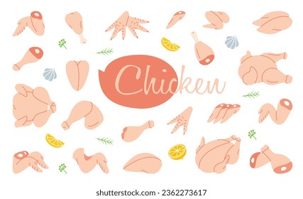 Juego de pollos. Carnicería. Productos agrícolas de pollo. Pollo entero, ala de carnero, filete, jamón, pierna, pecho, sacudida, palo de tambor. Ilustración vectorial.