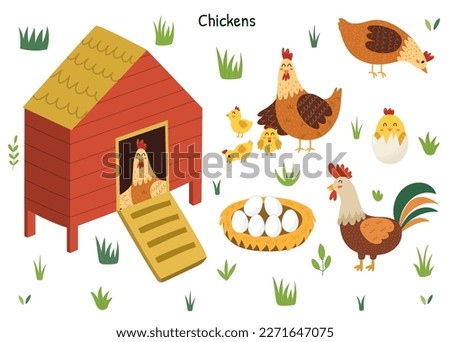 Chicken set with a cute hen, rooster, chicks and eggs. Chicken coop with a bird inside. Farm characters collection. Vector illustration