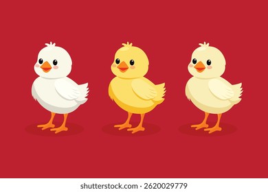 Chicken set flat vector illustration isolated on red background.