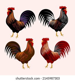 Chicken set, hen, rooster character vector illustration.