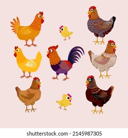 Chicken set, hen, rooster character vector illustration.