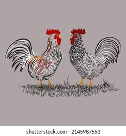 Chicken set, hen, rooster character vector illustration.