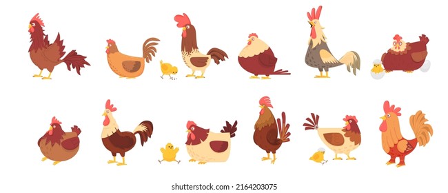 Chicken set. Spring chickens and hen with egg, cartoon rooster. Poultry isolated, farm domestic birds. Easter, rustic lifestyle, decent vector characters