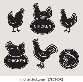 Chicken set. Vector