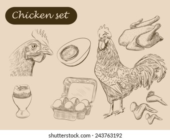chicken set. vector sketches