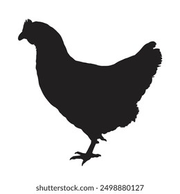 Chicken from side view vector icon silhouette. Farm bird animal with black simple flat style isolated on plain white background. Nature rooster ayam jago. Free Vector
