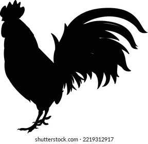 Chicken sihouette vector art and illustration