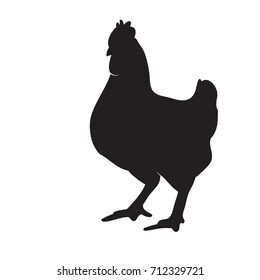 chicken silhouette. Chicken. Silhouette
