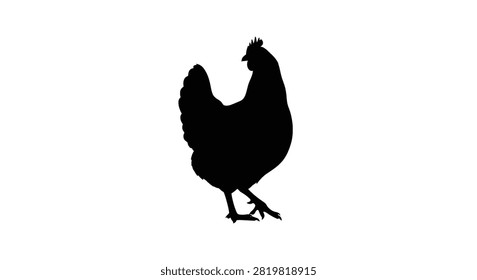 Chicken Silhouette Against A White Background A Dark Shape