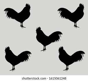 Chicken silhouette background vector illustration