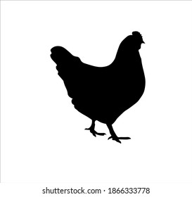 Chicken silhouette. Bird element illustration in simple flat style isolated on white background. Vector symbol design from farm collection. Can be used in web and mobile.