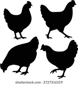Silhueta de frango coleção de pose diferente. Ícone de frango, silhueta de frango, poses em pé e andando, ícone de vetor de aves, frango, ilustração de vetor.