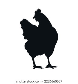 Chicken silhouette, farm animals flat vector illustration.