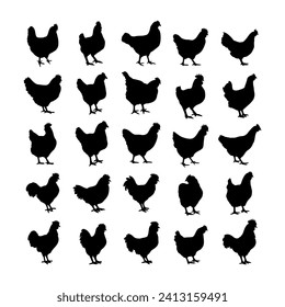 Chicken silhouette or hen silhouettes vector illustration pack