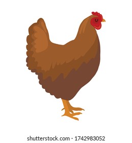 chicken silhouette illustration. An isolated vector image of poultry on a farm. Suitable as a logo element