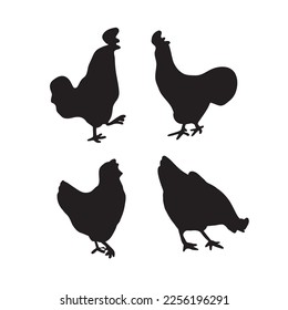 Chicken silhouette isolated on white background. Vector illustration