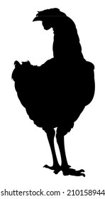 chicken silhouette vector 