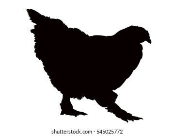 chicken silhouette vector