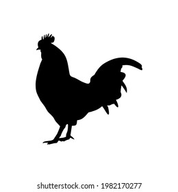 Chicken Silhouette - Vector Flat Design Illustration : Suitable for Animal Theme and Other Graphic Related Assets.
