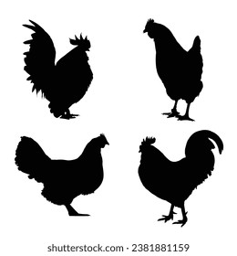 Chicken Silhouette. Chicken Vector Illustration.